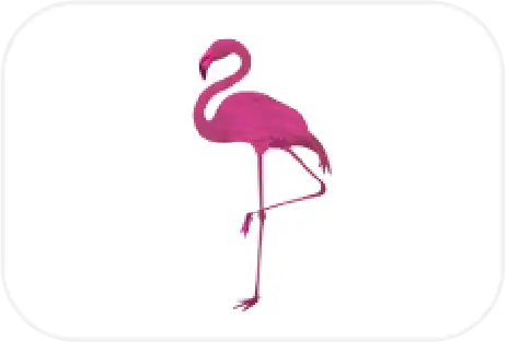 Jardin Flamingo