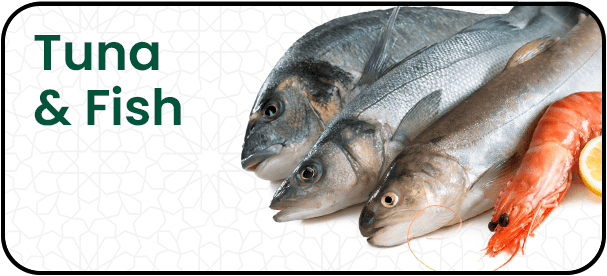Tuna and Fish